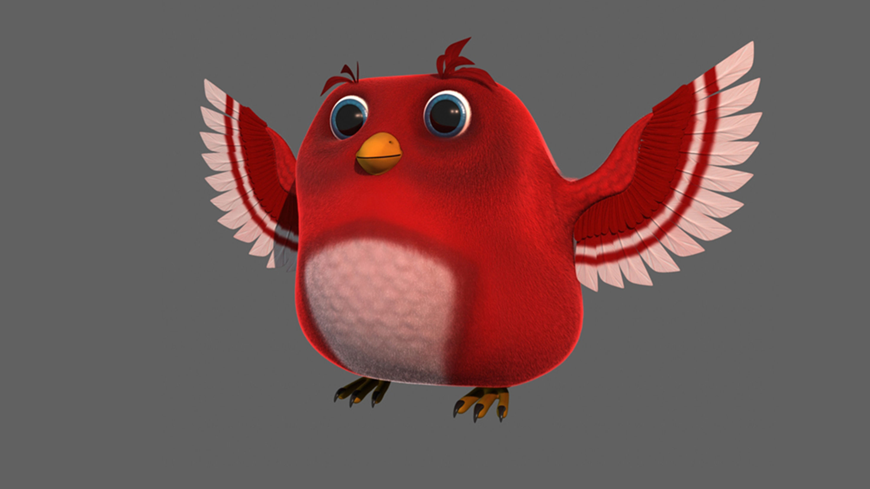 Chico (Bird) Rig